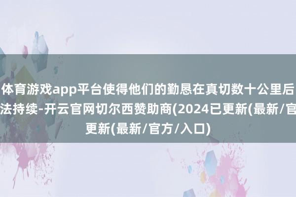 体育游戏app平台使得他们的勤恳在真切数十公里后可能便无法持续-开云官网切尔西赞助商(2024已更新(最新/官方/入口)