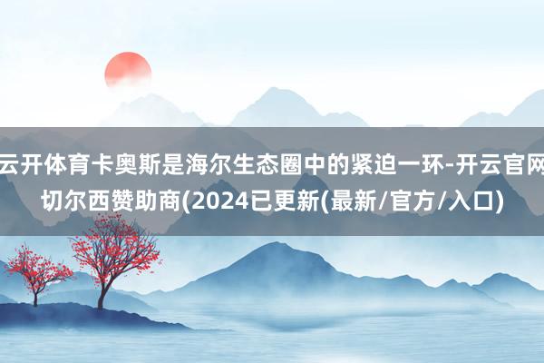 云开体育卡奥斯是海尔生态圈中的紧迫一环-开云官网切尔西赞助商(2024已更新(最新/官方/入口)